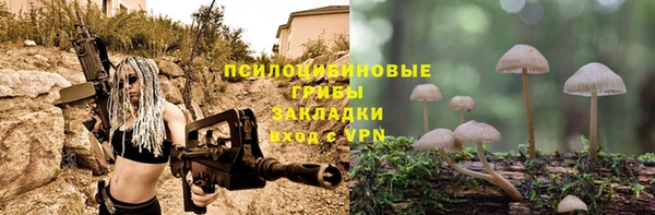 ГАЛЛЮЦИНОГЕННЫЕ ГРИБЫ Кулебаки
