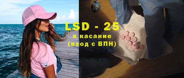 ГАЛЛЮЦИНОГЕННЫЕ ГРИБЫ Кулебаки