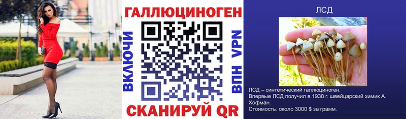 Псилоцибиновые грибы прущие грибы mega зеркало Хадыженск купить закладку